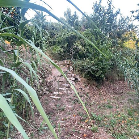 Nascente, Place In Nature Next To A Waterfall Loureiro  Exterior foto