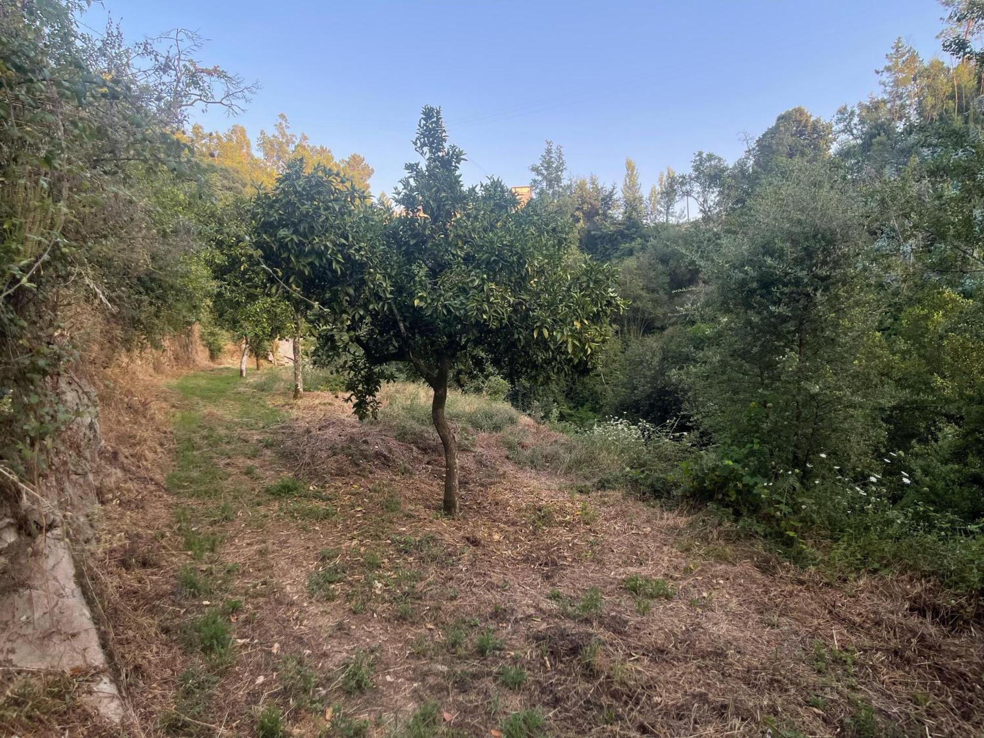 Nascente, Place In Nature Next To A Waterfall Loureiro  Exterior foto