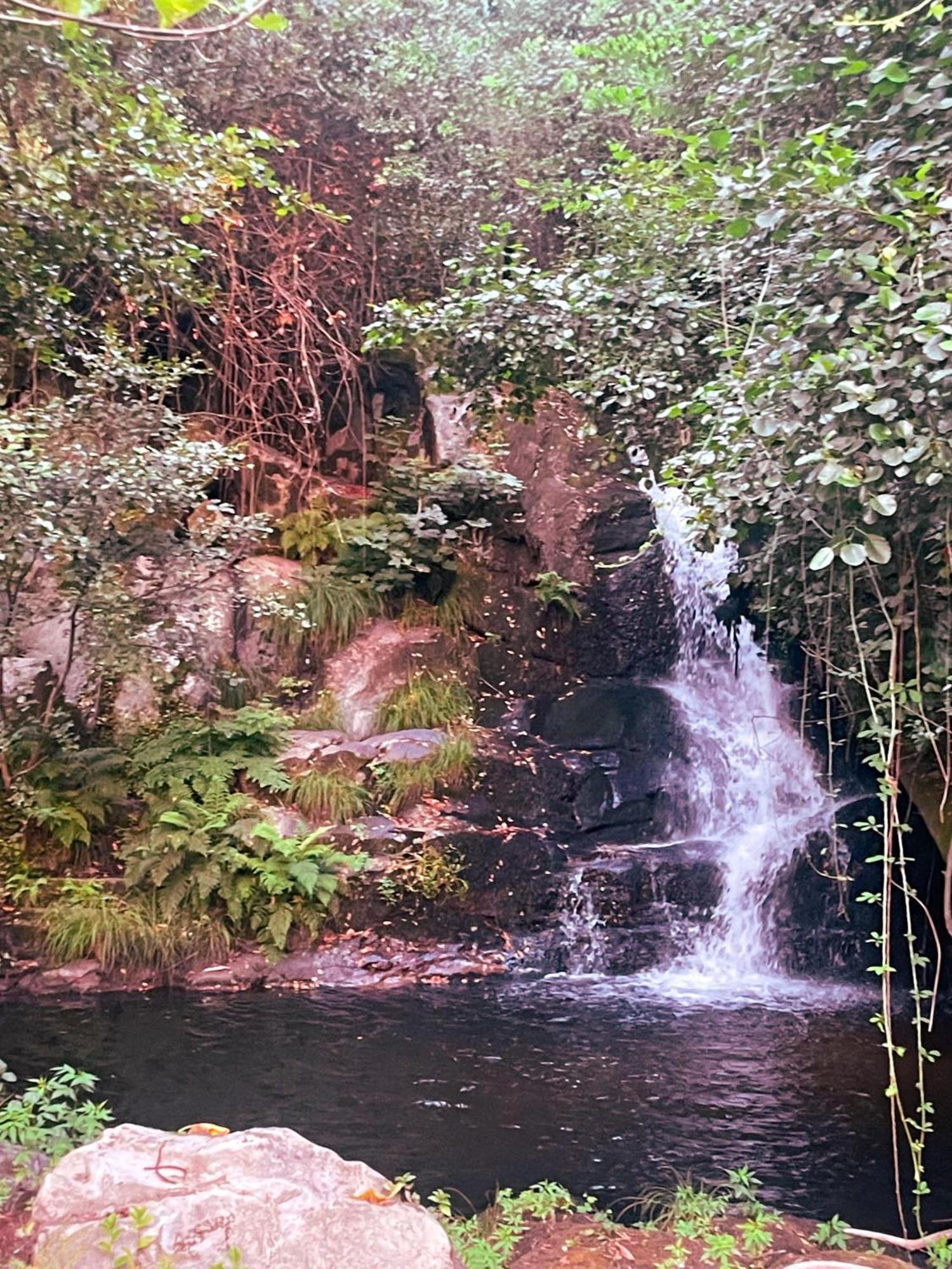 Nascente, Place In Nature Next To A Waterfall Loureiro  Exterior foto